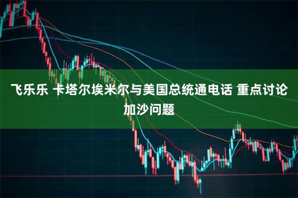 飞乐乐 卡塔尔埃米尔与美国总统通电话 重点讨论加沙问题