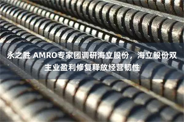 永之胜 AMRO专家团调研海立股份，海立股份双主业盈利修复释放经营韧性